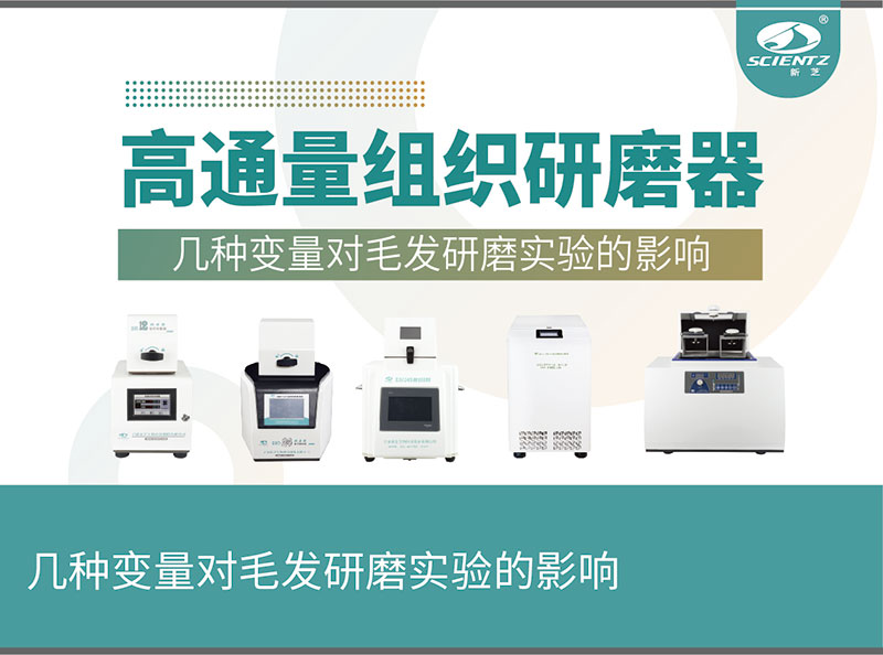 高通量组织研磨器