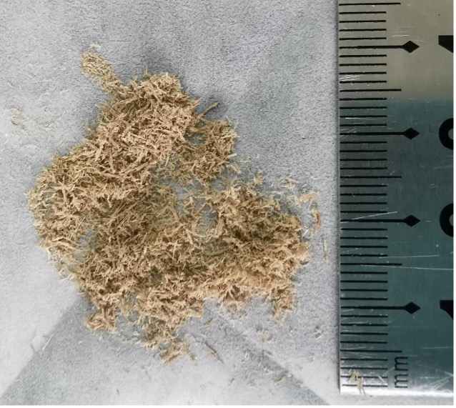 50Hz频率研磨360s后