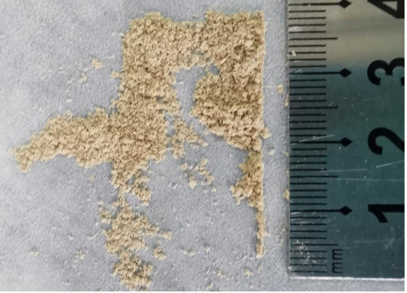 50mg样本60Hz频率研磨360s后