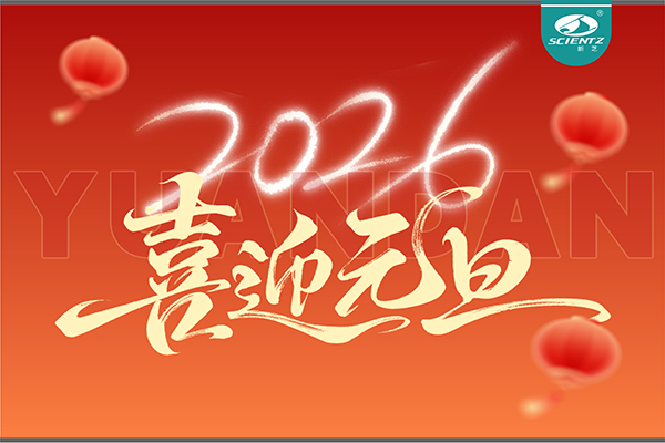 董事长周芳女士新年献词：心有定力，沐光而行